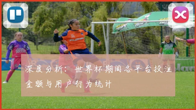 深度分析：世界杯期间各平台投注金额与用户行为统计