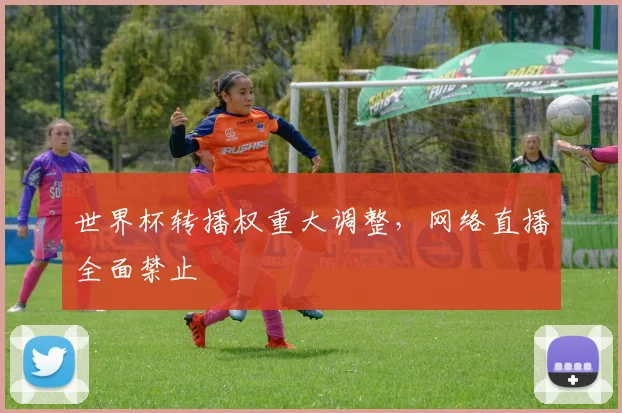 世界杯转播权重大调整，网络直播全面禁止