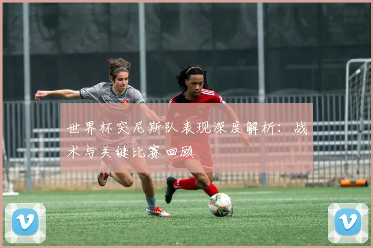 世界杯突尼斯队表现深度解析：战术与关键比赛回顾