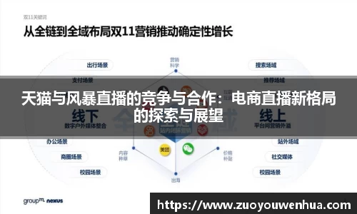 天猫与风暴直播的竞争与合作：电商直播新格局的探索与展望