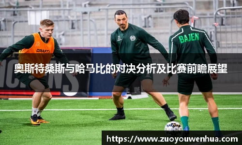 zoty中欧官方网站